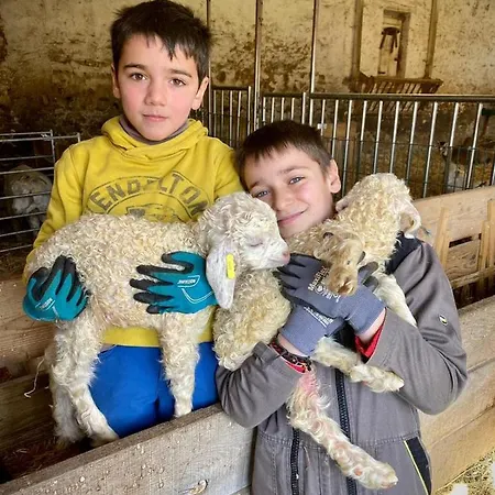 Joy Tiny House Perche *