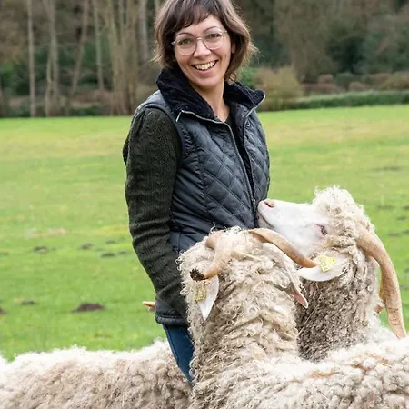 Joy Tiny House Perche *