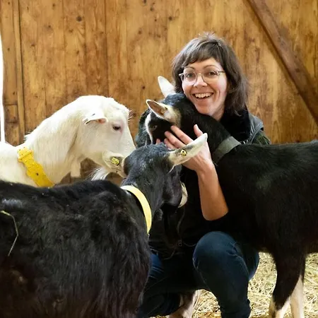 Luxusní stan Joy Tiny House Perche *