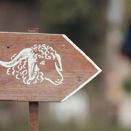 Joy Tiny House Perche Роскошный шатер *