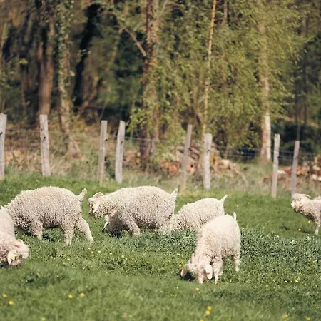 Joy Tiny House Perche Роскошный шатер *