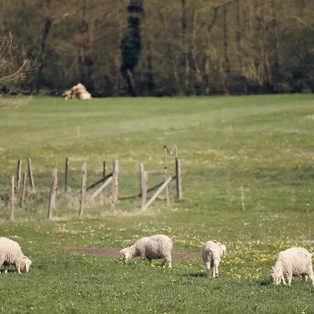 Joy Tiny House Perche *