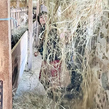 Joy Tiny House Perche Madeleine