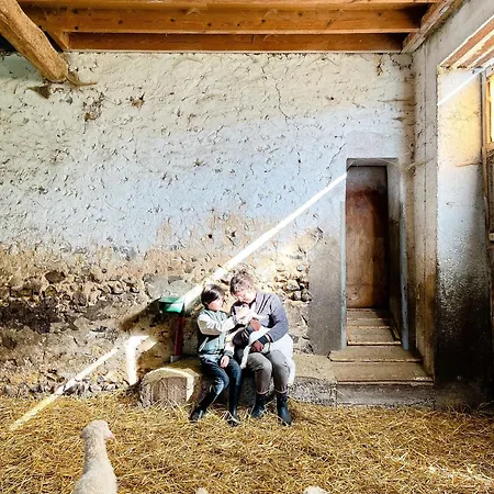 Luxusní stan Joy Tiny House Perche *