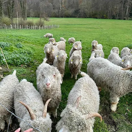 Joy Tiny House Perche Luxusní stan *