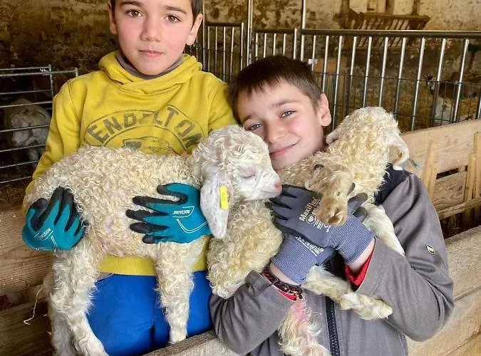 Joy Tiny House Perche *