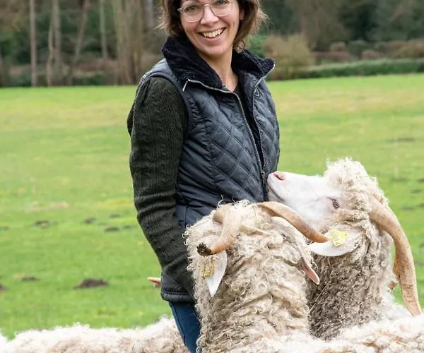 Joy Tiny House Perche *