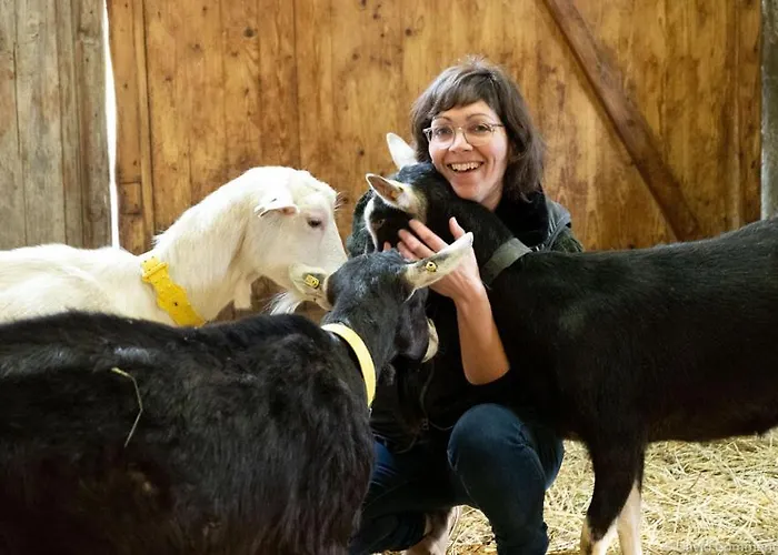 Luxury tent Joy Tiny House Perche *