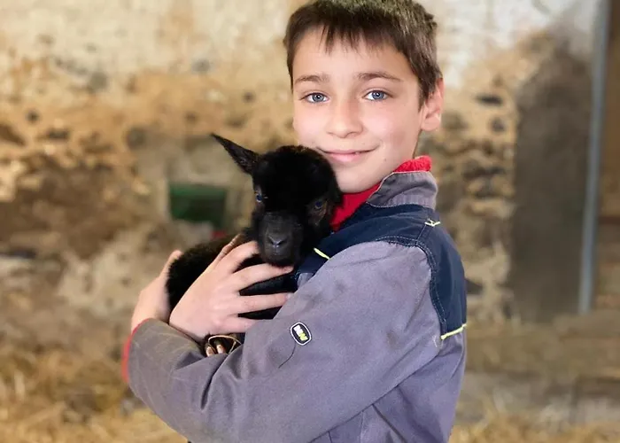 Joy Tiny House Perche Luxury tent La Madeleine-Bouvet