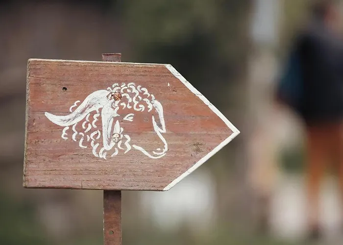 Joy Tiny House Perche Luxury tent *