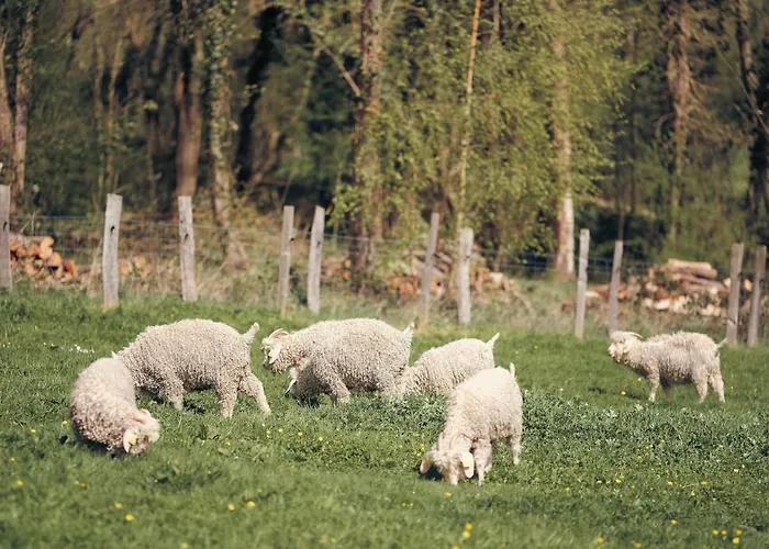 Joy Tiny House Perche Luxury tent *