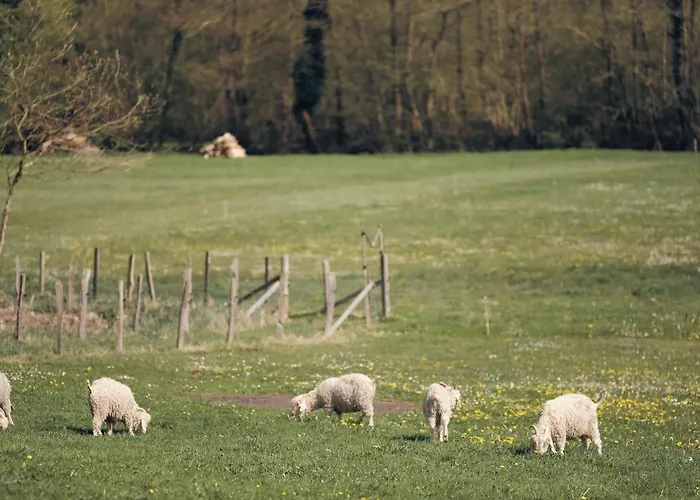 Joy Tiny House Perche *