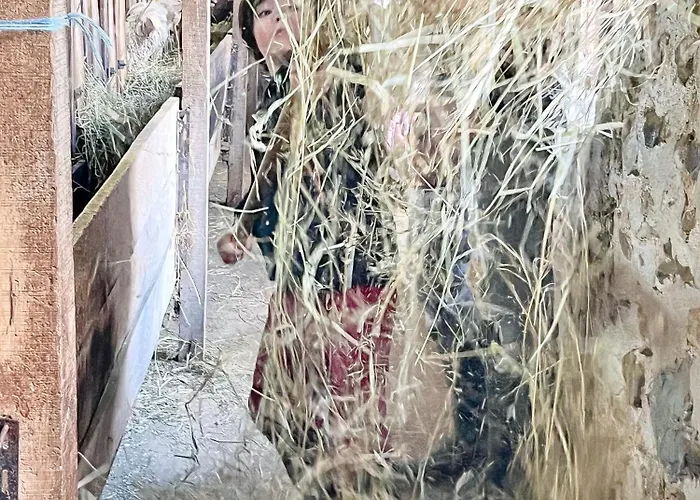 Joy Tiny House Perche La Madeleine-Bouvet