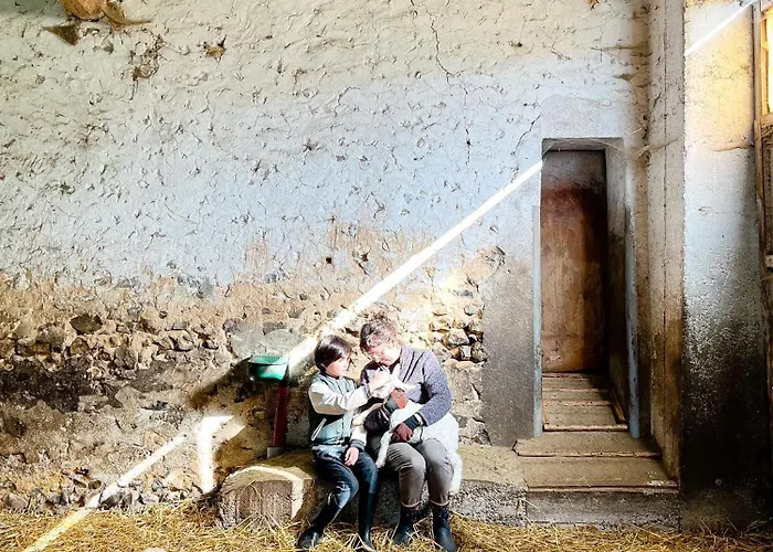 Luxury tent Joy Tiny House Perche *